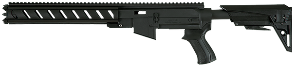 Advanced Technology Ar-22, Adv C2102210 Ar-22 Rug 10/22 Kit       G2 Tactlite