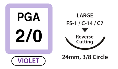 PGA Surgical Sutures, Size 2/0, 30" Thread with 24mm 3/8 Circle R/C Needle. Violet. Box of 12.