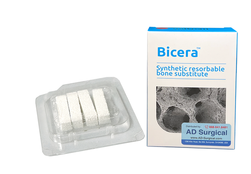 Synthetic Resorbable Bone Blocks