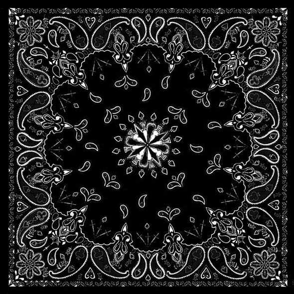 Black Paisley