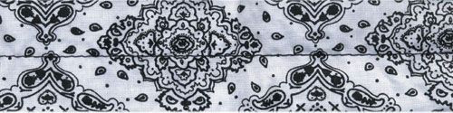 White Paisley