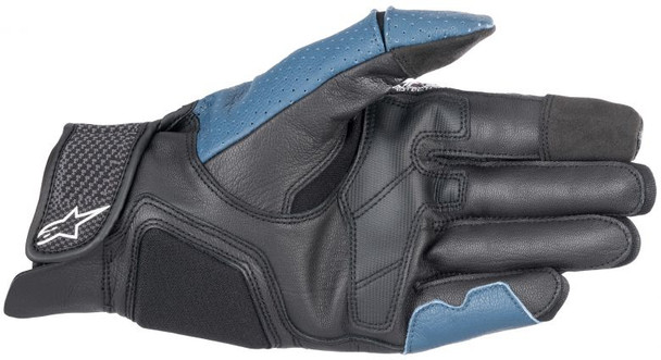 Black/Blue Palm Detail