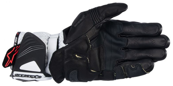 Black/White Palm Detail