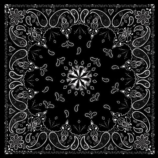 Black Paisley