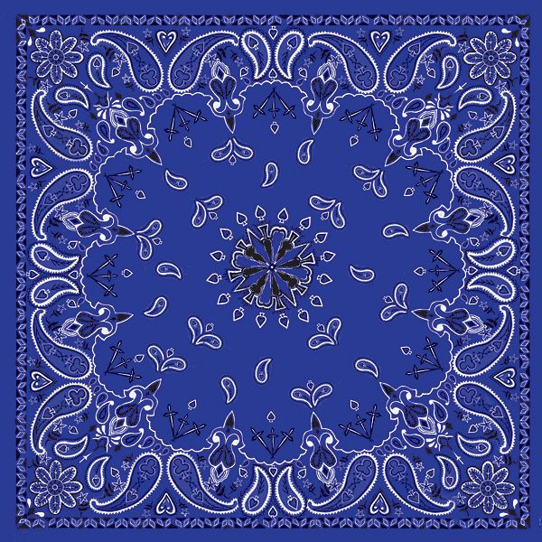 Navy Paisley
