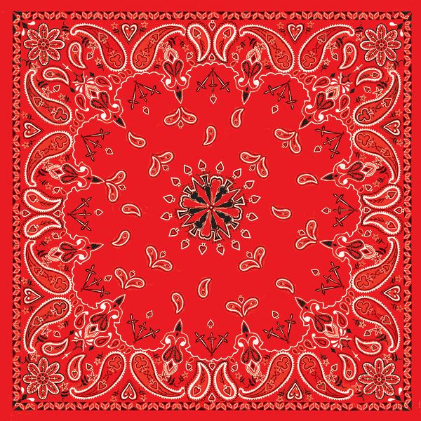Red Paisley