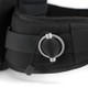 Adjustment Belt Detail