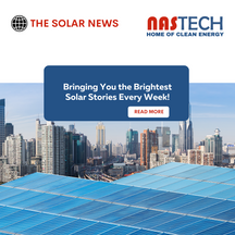 "Longi Places Its Bet on Hi-Mo6 Panels with Back-Contact Solar Cell Technology"