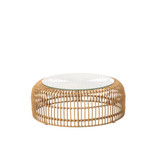 Palm Coffee Table / Stool