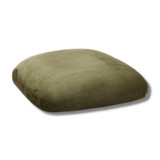 Chameleon Chair Silver Back Chameleon Chair Silver Back