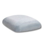 Chameleon Chair Silver Back Chameleon Chair Silver Back