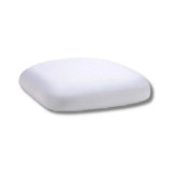 Chameleon Chair Silver Back Chameleon Chair Silver Back