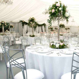 Chameleon Chair Silver Back