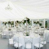 Chameleon Chair Silver Back