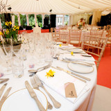 Gold Rim Dinner Plate 25cm (Pack Size 10)