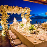 Chameleon Chair Gold & Bronze with Black Legs