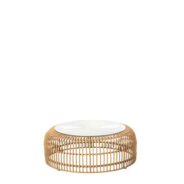 Palm Coffee Table / Stool