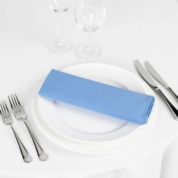 Signature Linen Napkin Wedgwood Blue 20in x 20in