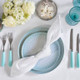 Fiji Dinner Plate 27cm (Case Size 1) 3