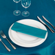 Silk Taffeta Napkin Teal 20in x 20in