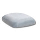 Chameleon Chair Silver Back Chameleon Chair Silver Back