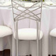Chameleon Chair Silver Back Chameleon Chair Silver Back