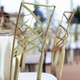 Chameleon Chair Gold & Bronze with Black Legs Chameleon Chair Gold & Bronze with Black Legs