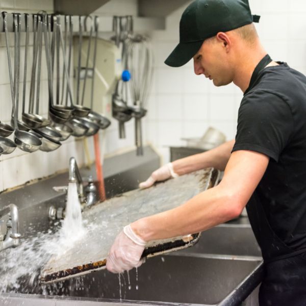 Dishwashers & Hygiene