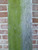 Houten balk met groene aanslag links en schoon hout rechts als visueel voor‑na‑effect.