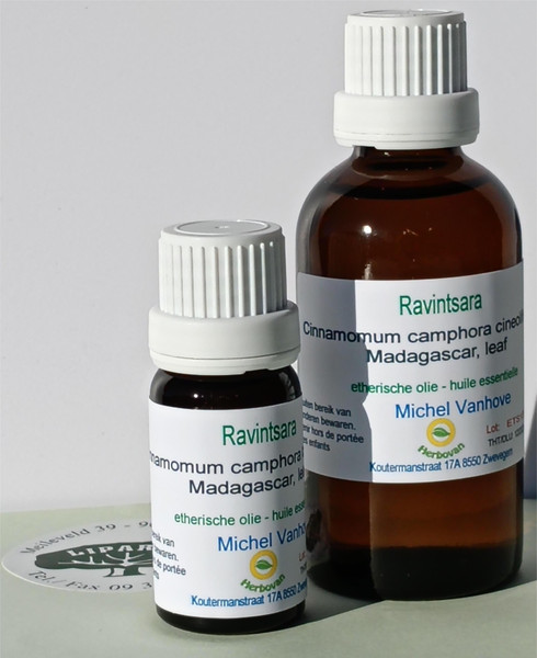 Etherische olie RAVINTSARA - Michel Vanhove