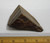 Left view of unpolished Tiger Eye Slab