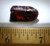 Back view of Zircon, lit to show the gorgeous color
