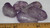 Sample pieces of tumbled Amethyst
