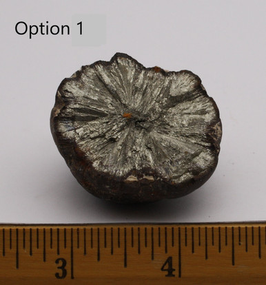 MarcRogh0006F__86944.