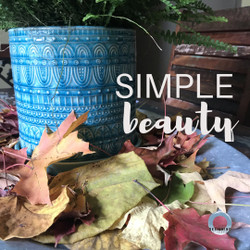 Simple Beauty