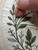 Floral Summer Solstice Hand Embroidery Pattern with Companion Journal Guide Digital Download