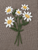Daisy Bouquet Pattern Hand Embroidery Pattern, Slow Stitch Digital Download