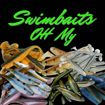 Reviewing Angling Ai's Swimbait Molds