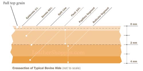Leather Hide Cross section