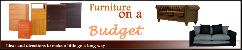 Furniture ideas on a budget