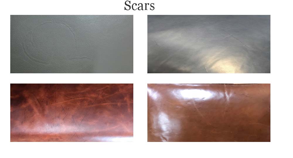 GENUINE SCRATCHES AND SCARS