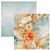 Rhapsody Paper Pack