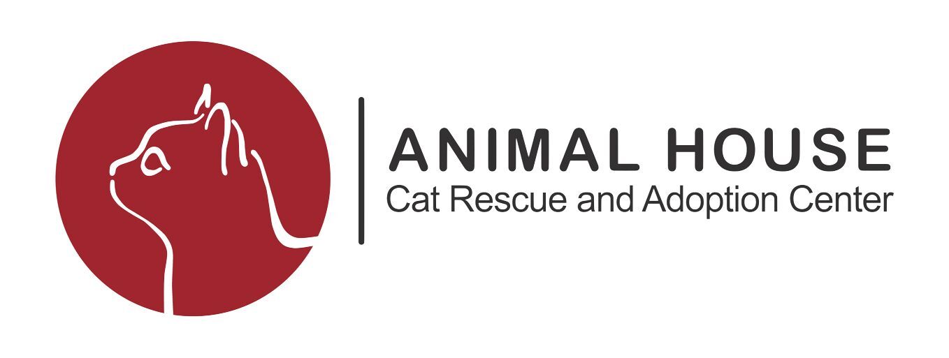 Animal House – Cat Rescue