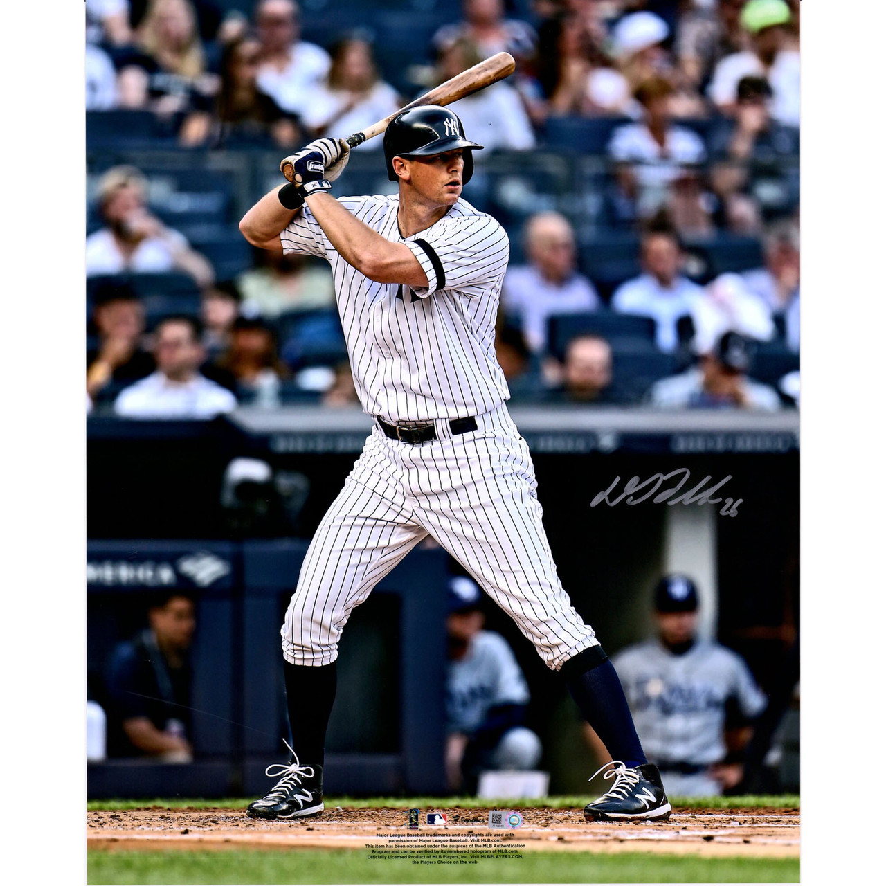 Framed Gleyber Torres New York Yankees Autographed 11 x 14 Spotlight  Photograph