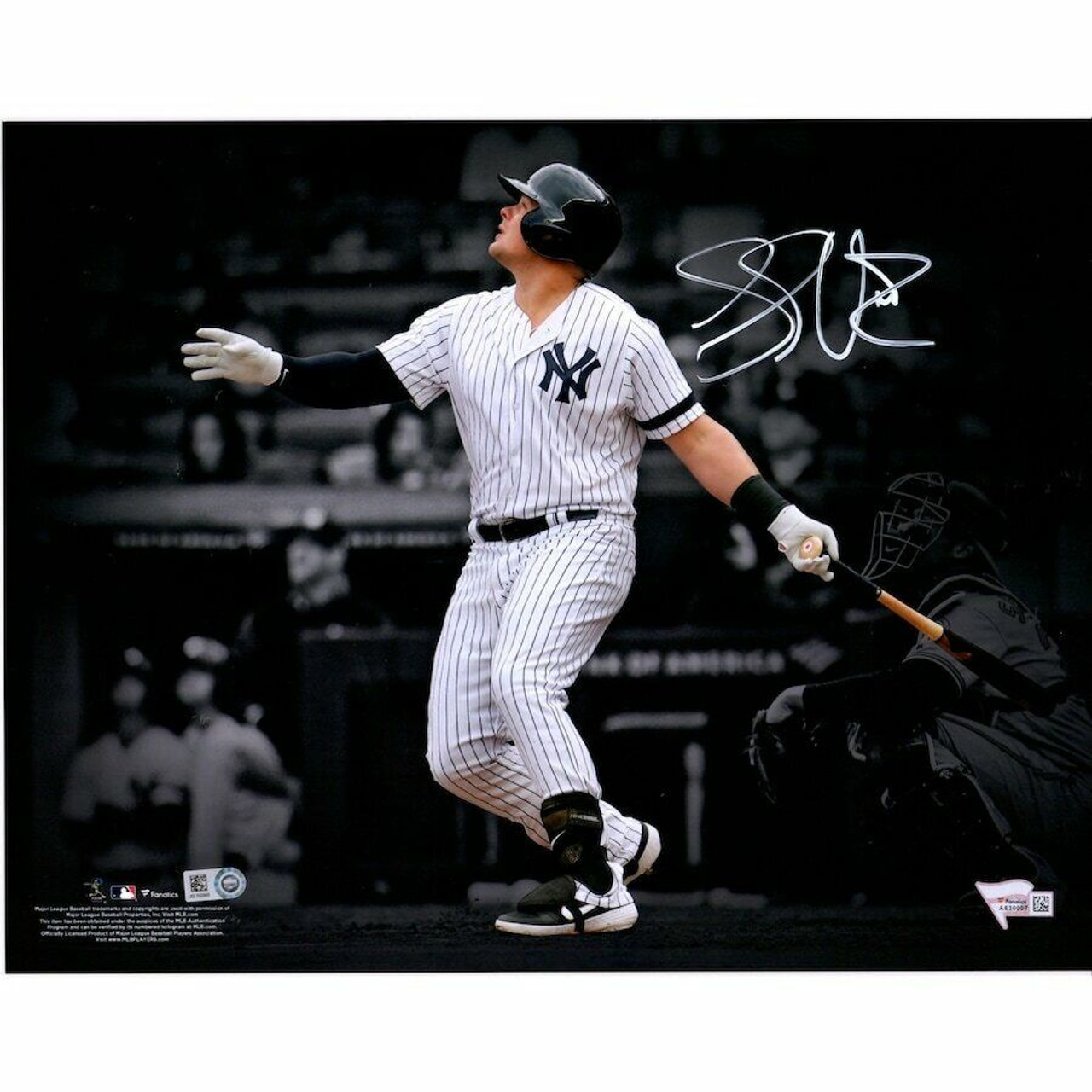 Fanatics Authentic Luke Voit New York Yankees Autographed White Nike  Authentic Jersey