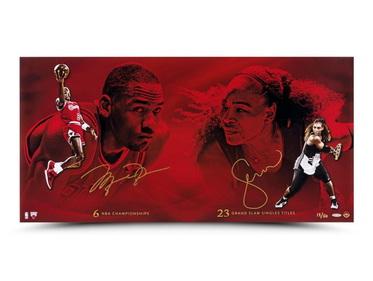 Michael Jordan & Serena Williams Autographed & Inscribed Red & Black Nike  Court Air Jordan 23