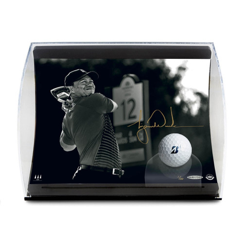 TIGER WOODS Autographed "Gold Drive" Photo and Ball in Curve Display UDA LE 100