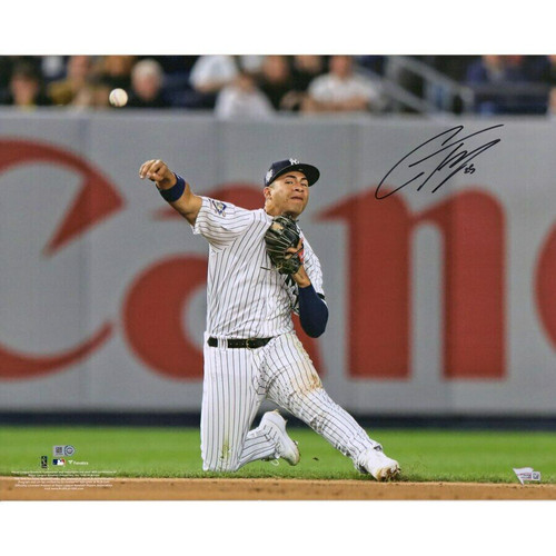 GLEYBER TORRES Autographed New York Yankees Throwing 16 x 20 Photograph FANATICS