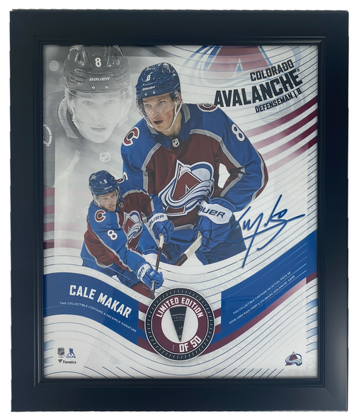 Avalanche framed jersey