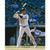 GLEYBER TORRES Autographed New York Yankees Hitting 16" x 20" Photograph FANATICS